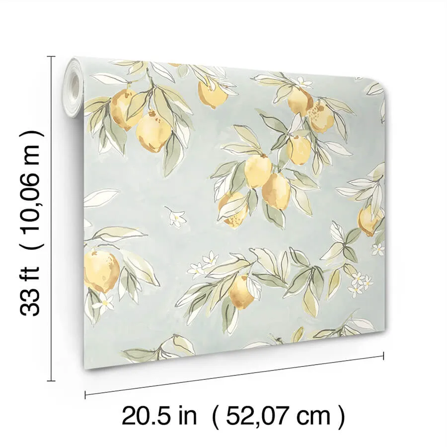 Chesapeake Lemonade - Aqua Wallpaper | Buy Online Chesapeake Lemonade wallpaper, color Aqua, SKU 4134-72508
