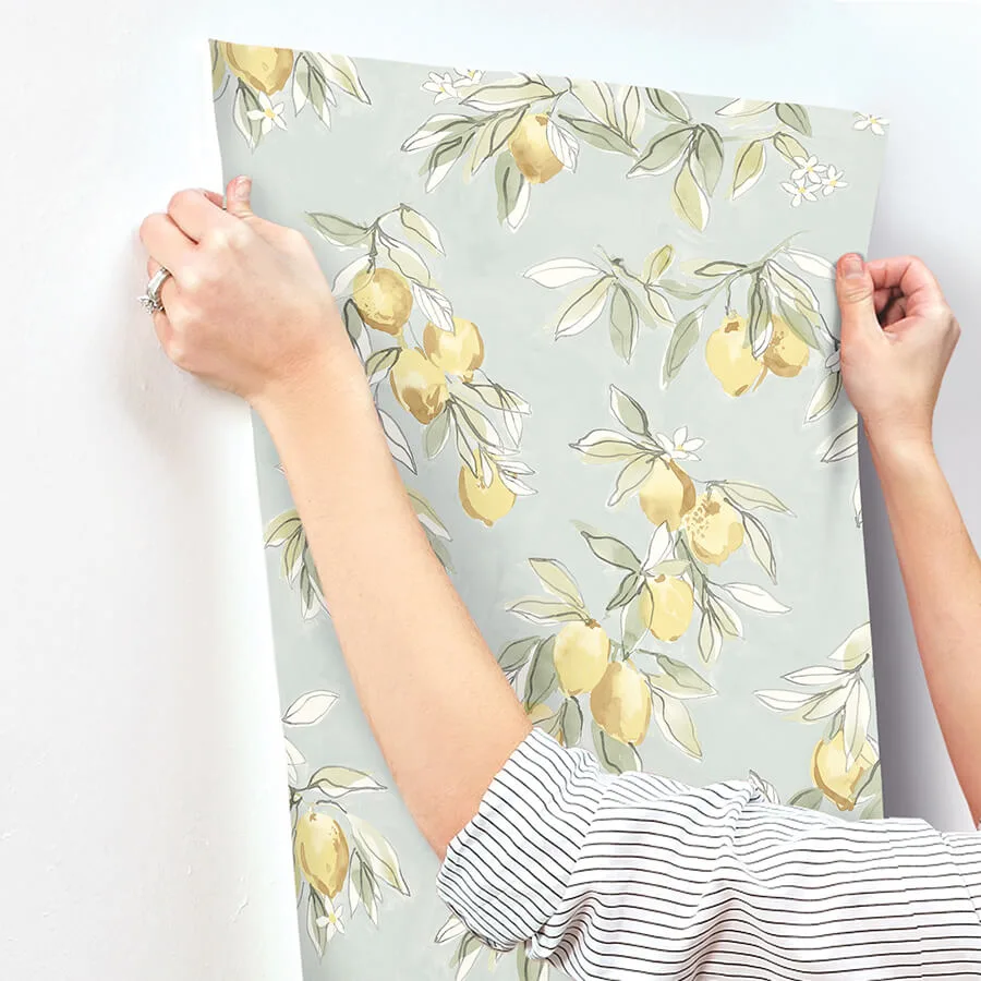 Chesapeake Lemonade - Aqua Wallpaper | Buy Online Chesapeake Lemonade wallpaper, color Aqua, SKU 4134-72508