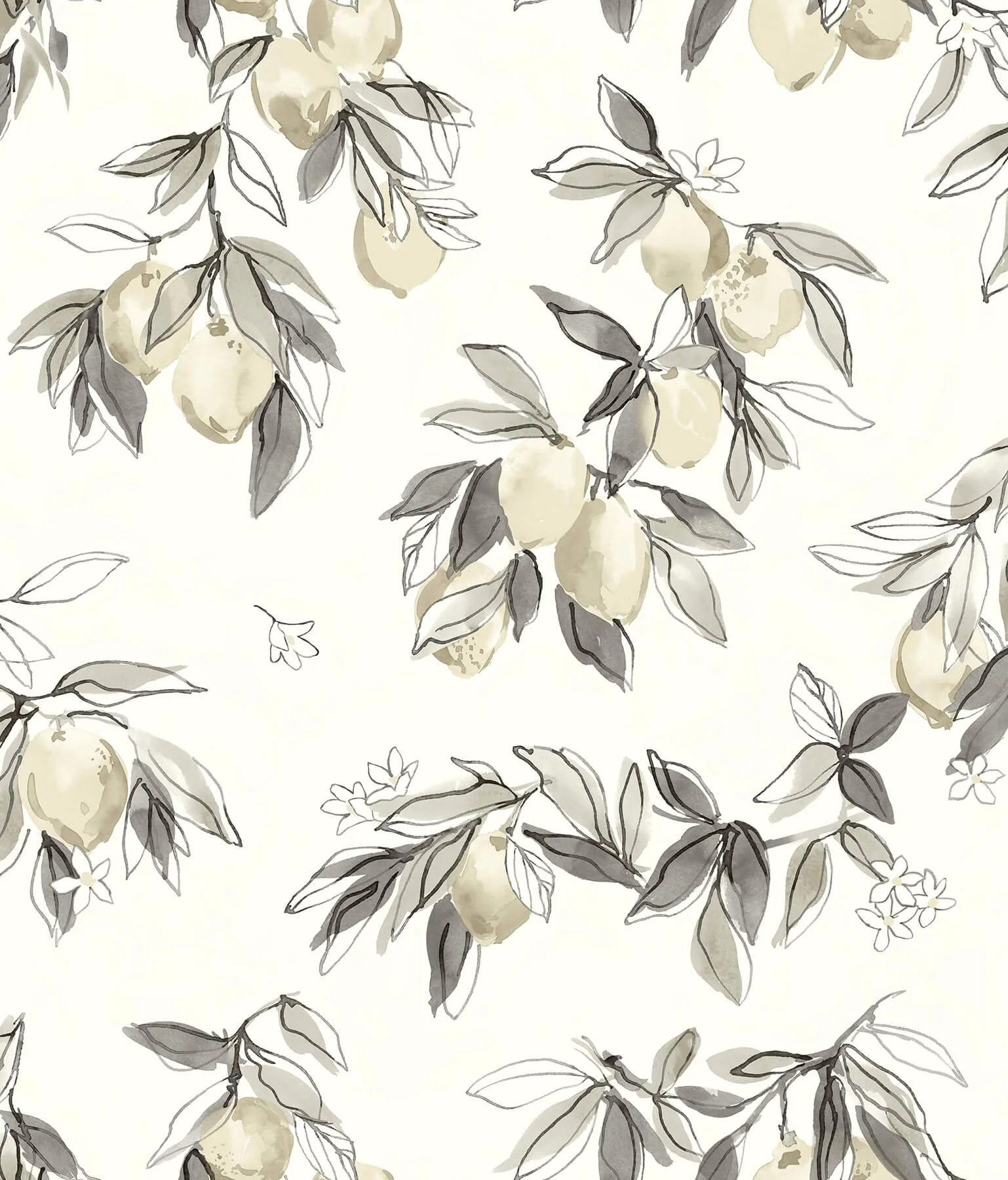 Chesapeake Lemonade wallpaper, color Charcoal, SKU 4134-72509