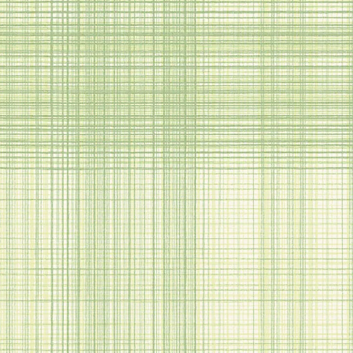Chesapeake Madras wallpaper, color Green, SKU 4071-71042