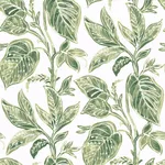 Chesapeake Mangrove wallpaper, color Green, SKU 3120-13621