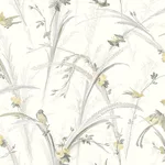 Chesapeake Meadowlark - Yellow Wallpaper | Buy Online Chesapeake Meadowlark wallpaper, color Yellow, SKU 3123-193210
