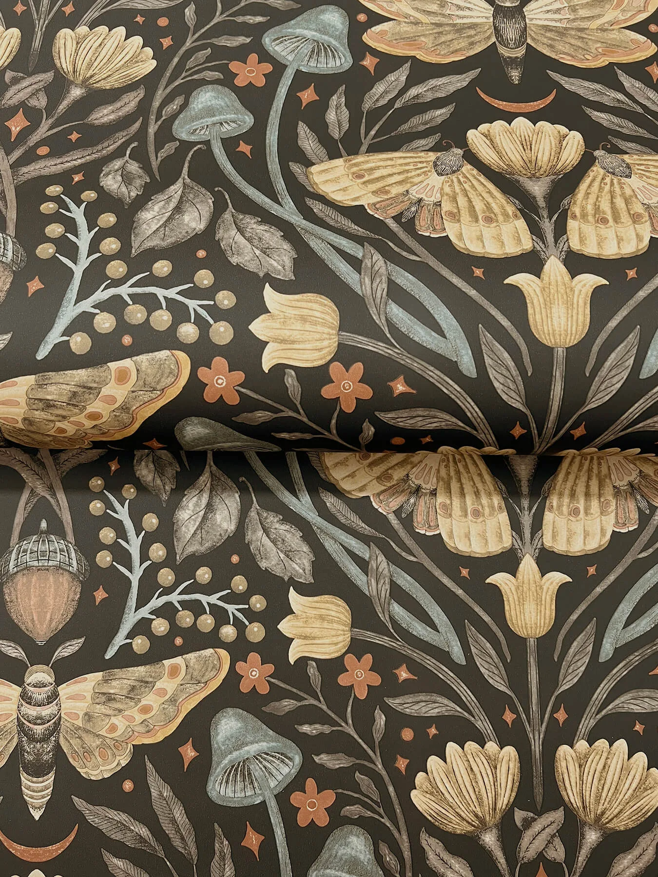 Chesapeake Mystic Moth - Black Wallpaper | Buy Online Chesapeake Mystic Moth wallpaper, color Black, SKU 4169-83116