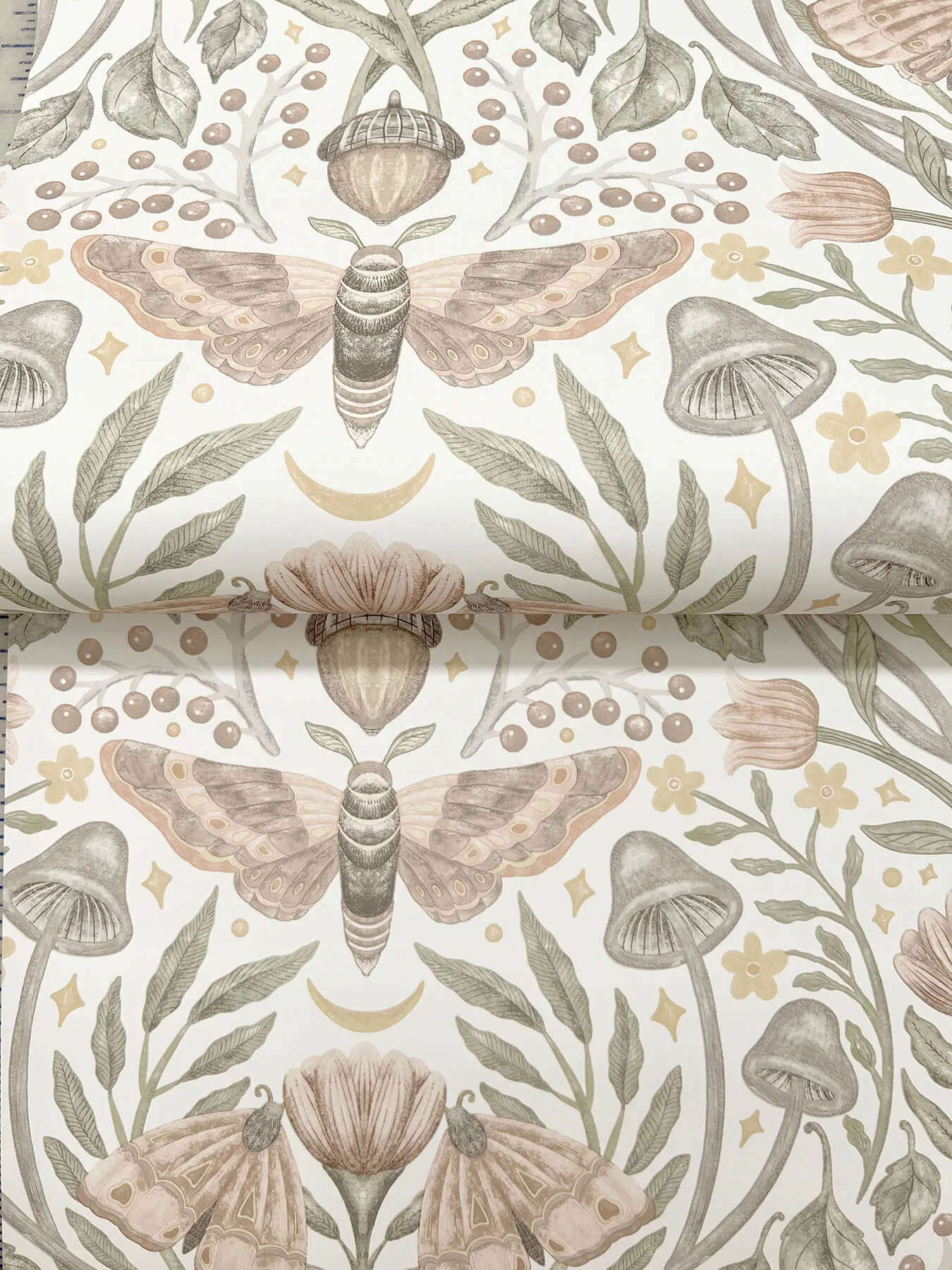 Chesapeake Mystic Moth - Blush Wallpaper | Buy Online Chesapeake Mystic Moth wallpaper, color Blush, SKU 4169-83119