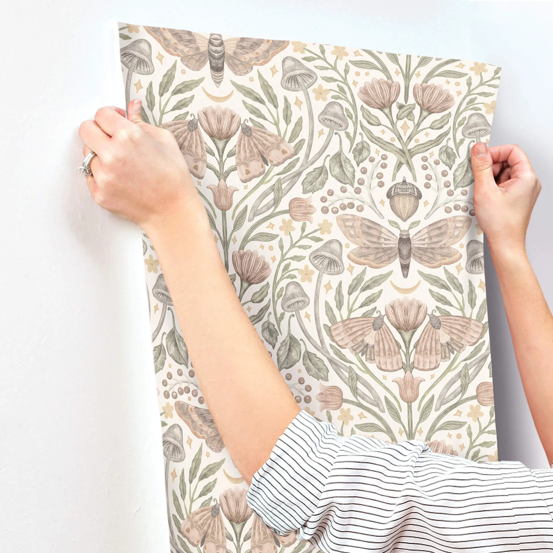 Chesapeake Mystic Moth - Blush Wallpaper | Buy Online Chesapeake Mystic Moth wallpaper, color Blush, SKU 4169-83119