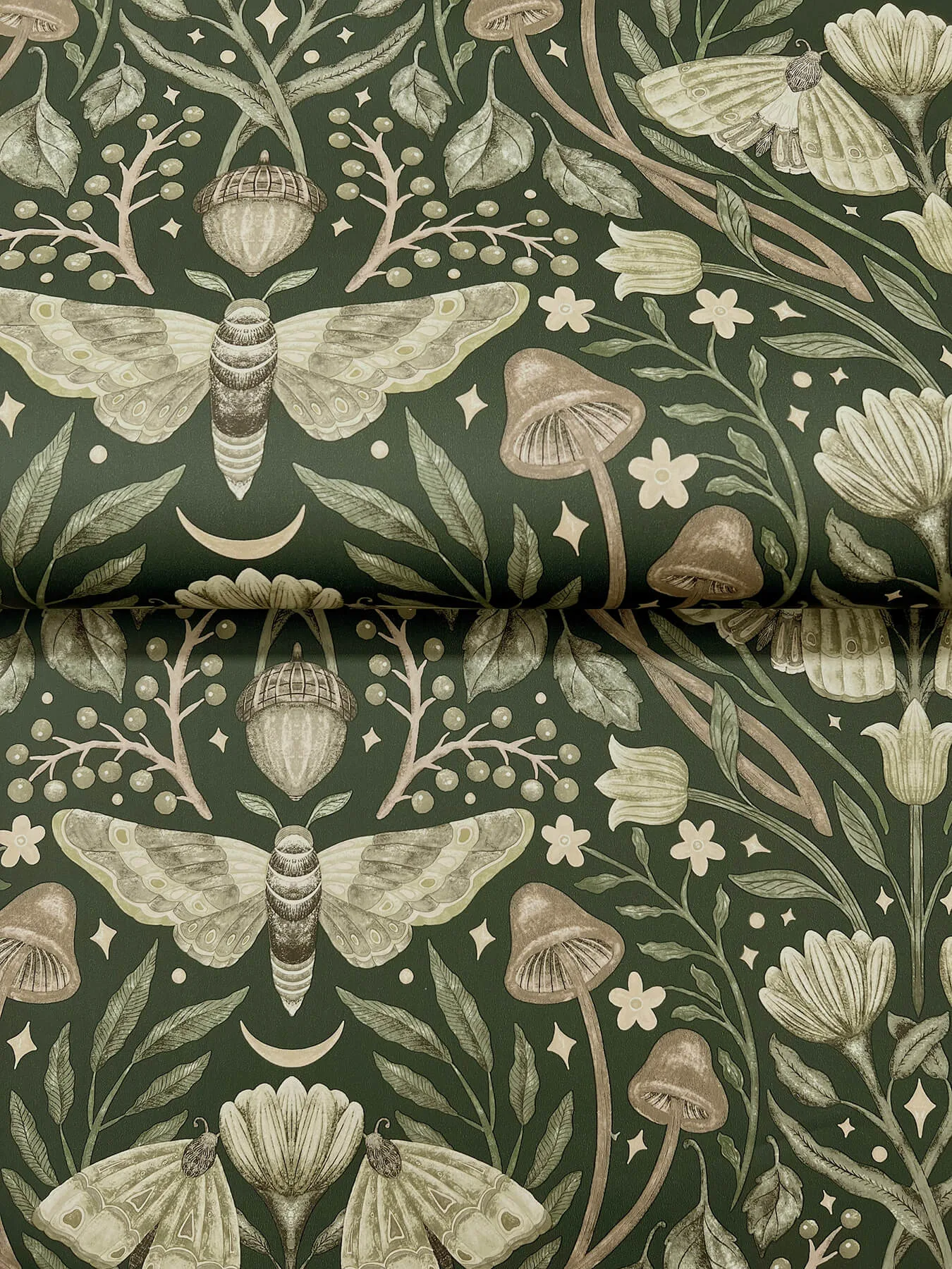 Chesapeake Mystic Moth - Dark Green Wallpaper | Buy Online Chesapeake Mystic Moth wallpaper, color Dark Green, SKU 4169-83120