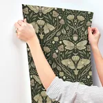 Chesapeake Mystic Moth - Dark Green Wallpaper | Buy Online Chesapeake Mystic Moth wallpaper, color Dark Green, SKU 4169-83120