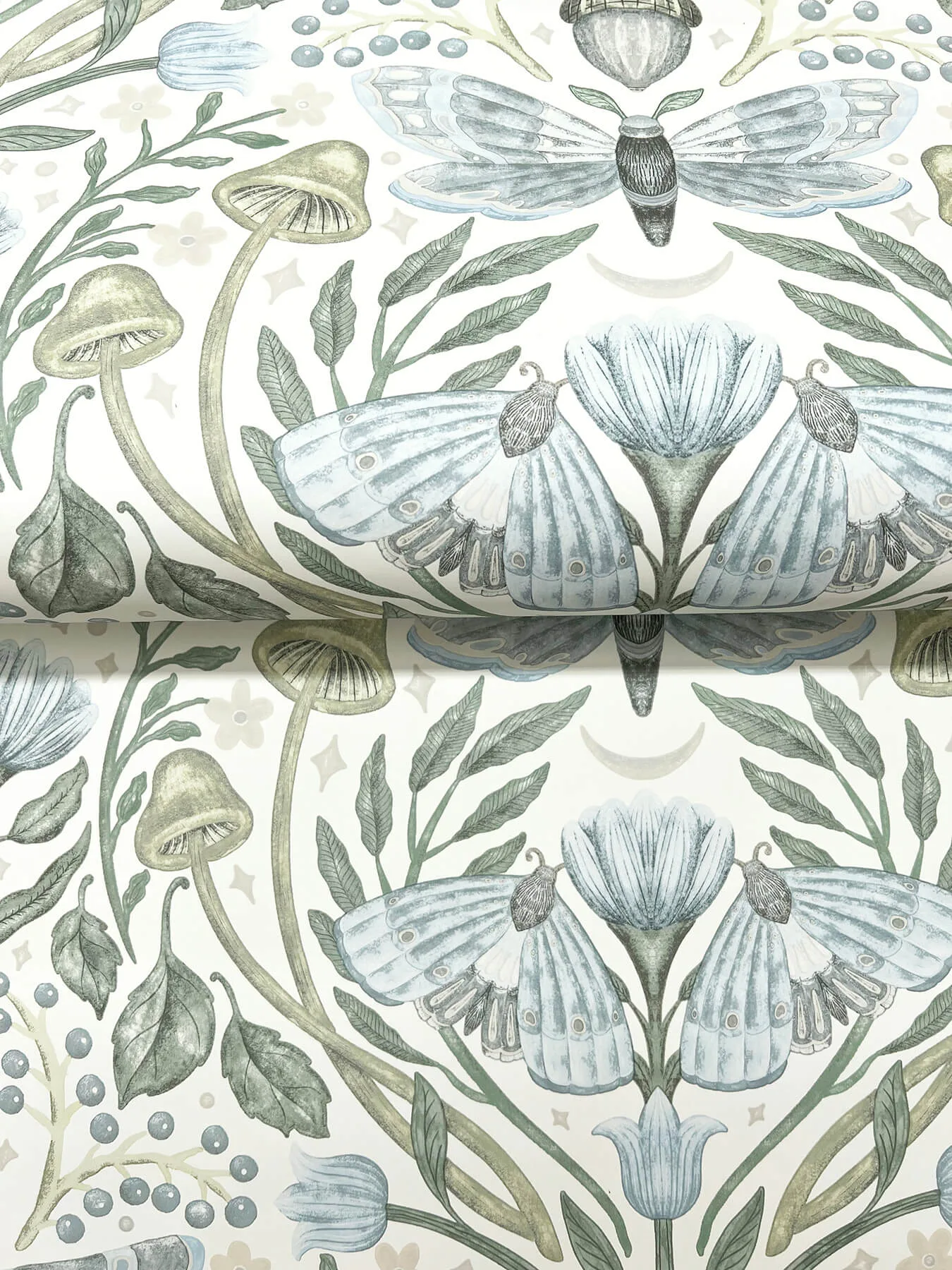 Chesapeake Mystic Moth - Sky Blue Wallpaper | Buy Online Chesapeake Mystic Moth wallpaper, color Sky Blue, SKU 4169-83117