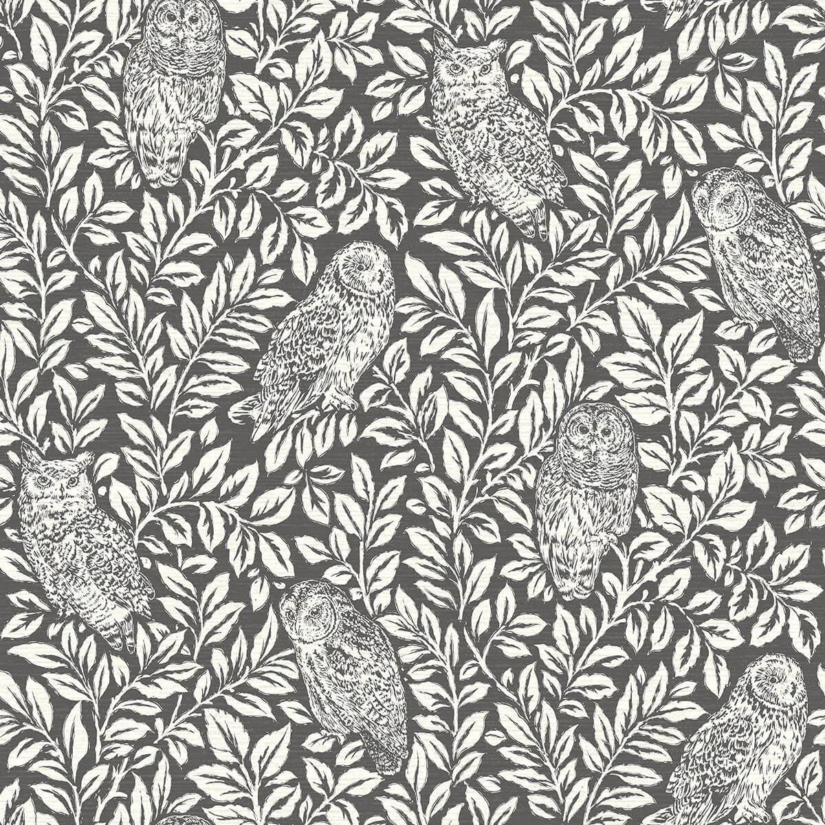 Chesapeake Parliament wallpaper, color Charcoal, SKU 3123-12415