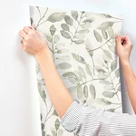 Chesapeake Pinnate - Green Wallpaper | Buy Online Chesapeake Pinnate wallpaper, color Green, SKU 4169-13911