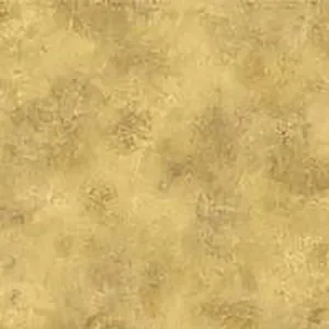 Chesapeake Squantz wallpaper, color Brown, SKU TLL257026
