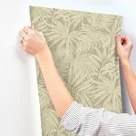 Chesapeake Sonny - Green Wallpaper | Buy Online Chesapeake Sonny wallpaper, color Green, SKU 4191-83027