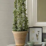 Chesapeake Spinnaker - Charcoal Wallpaper | Buy Online Chesapeake Spinnaker wallpaper, color Charcoal, SKU 3125-72368