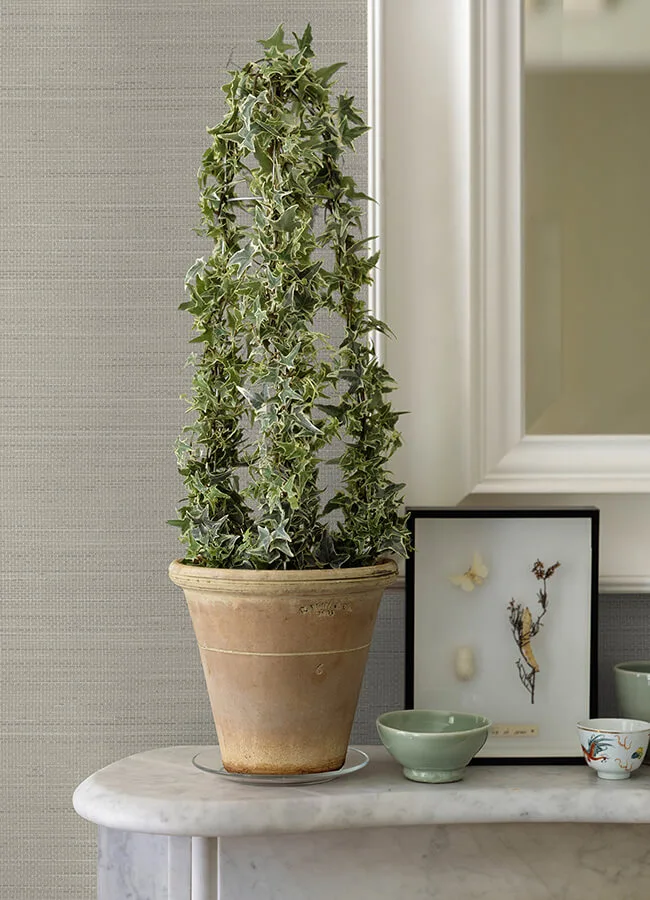 Chesapeake Spinnaker - Charcoal Wallpaper | Buy Online Chesapeake Spinnaker wallpaper, color Charcoal, SKU 3125-72368