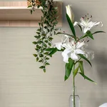 Chesapeake Spinnaker - Light Grey Wallpaper | Buy Online Chesapeake Spinnaker wallpaper, color Light Grey, SKU 4071-71053