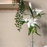 Chesapeake Spinnaker - Neutral Wallpaper | Buy Online Chesapeake Spinnaker wallpaper, color Neutral, SKU 4071-71052