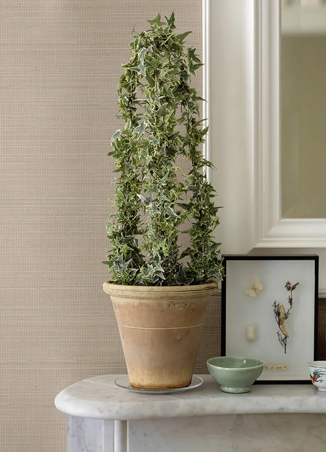 Chesapeake Spinnaker - Peach Wallpaper | Buy Online Chesapeake Spinnaker wallpaper, color Peach, SKU 3125-71052