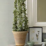 Chesapeake Spinnaker - Seafoam Wallpaper | Buy Online Chesapeake Spinnaker wallpaper, color Seafoam, SKU 3125-72369