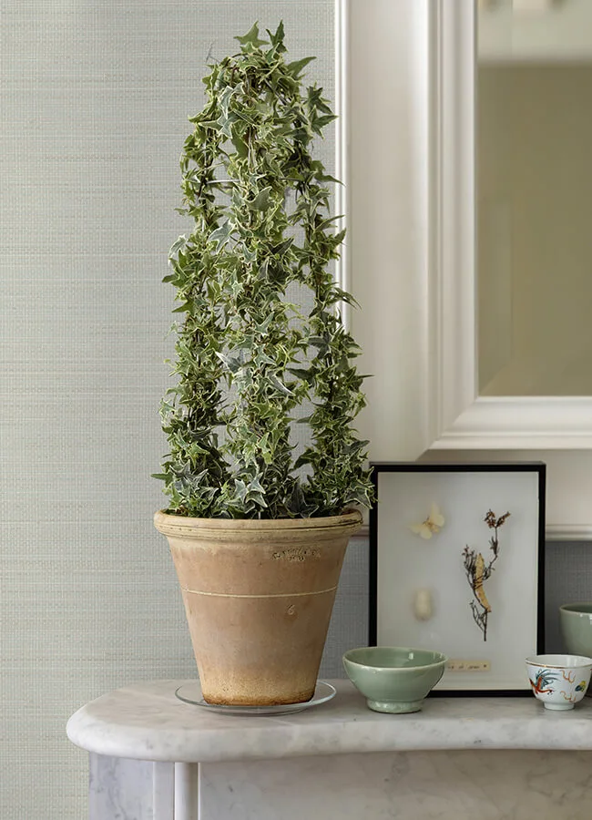 Chesapeake Spinnaker - Seafoam Wallpaper | Buy Online Chesapeake Spinnaker wallpaper, color Seafoam, SKU 3125-72369