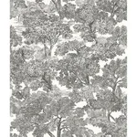Chesapeake Spinney wallpaper, color Black, SKU 3115-12542