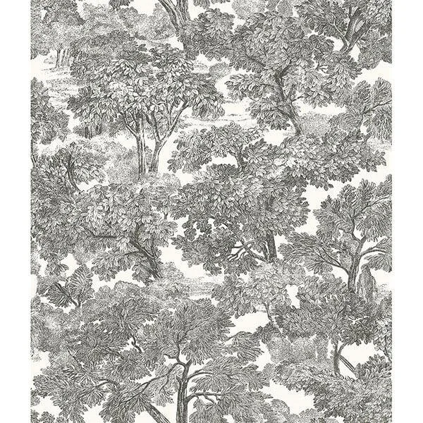 Chesapeake Spinney wallpaper, color Black, SKU 3115-12542