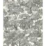 Chesapeake Spinney - Black Wallpaper | Buy Online Chesapeake Spinney wallpaper, color Black, SKU 4134-72558