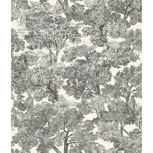 Chesapeake Spinney wallpaper, color Black, SKU 4134-72558