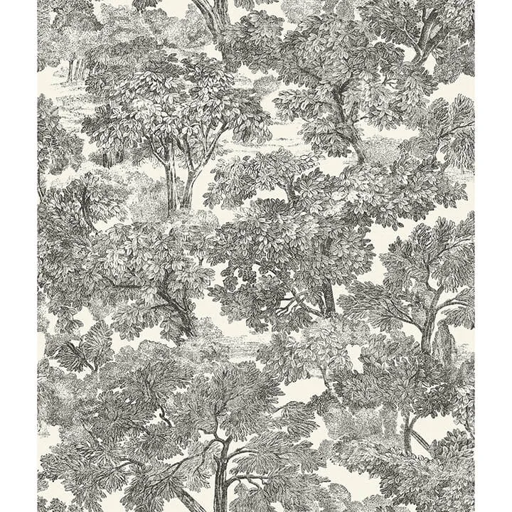 Chesapeake Spinney wallpaper, color Black, SKU 4134-72558