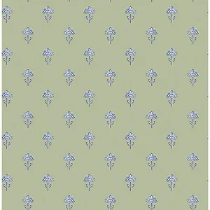 Chesapeake Surdiva wallpaper, color Green, SKU 4148-27459