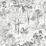 Chesapeake Walden wallpaper, color Black, SKU 3124-13894