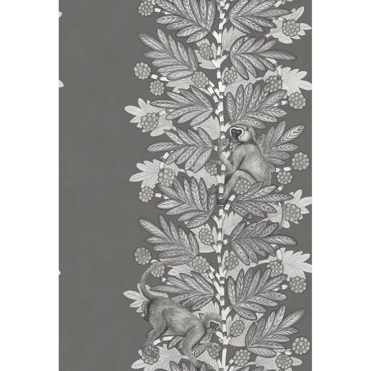 Cole & Son Acacia in Charcoal & Silver (109/11055.CS.0)