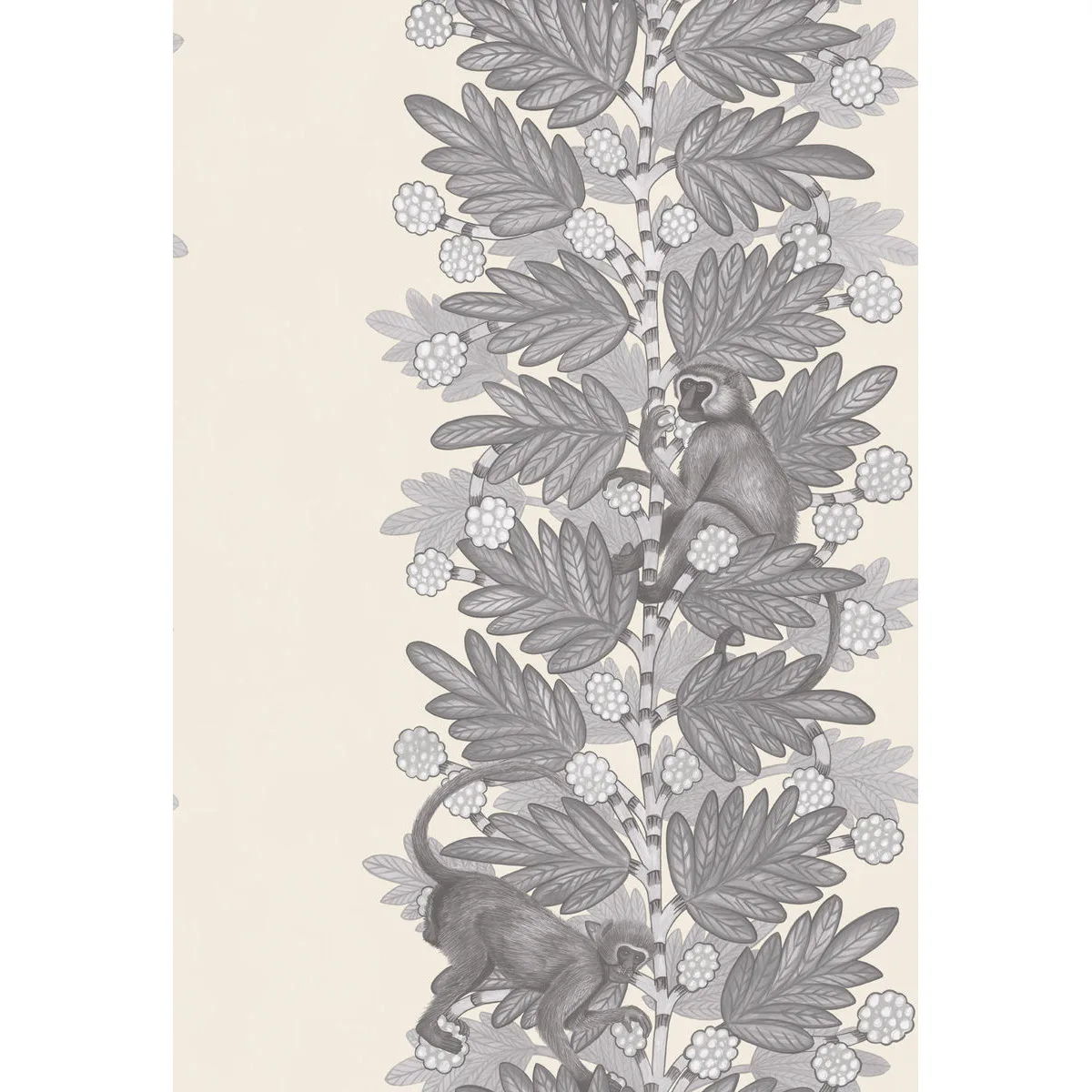 Cole & Son Acacia in Grey & White (109/11053.CS.0)
