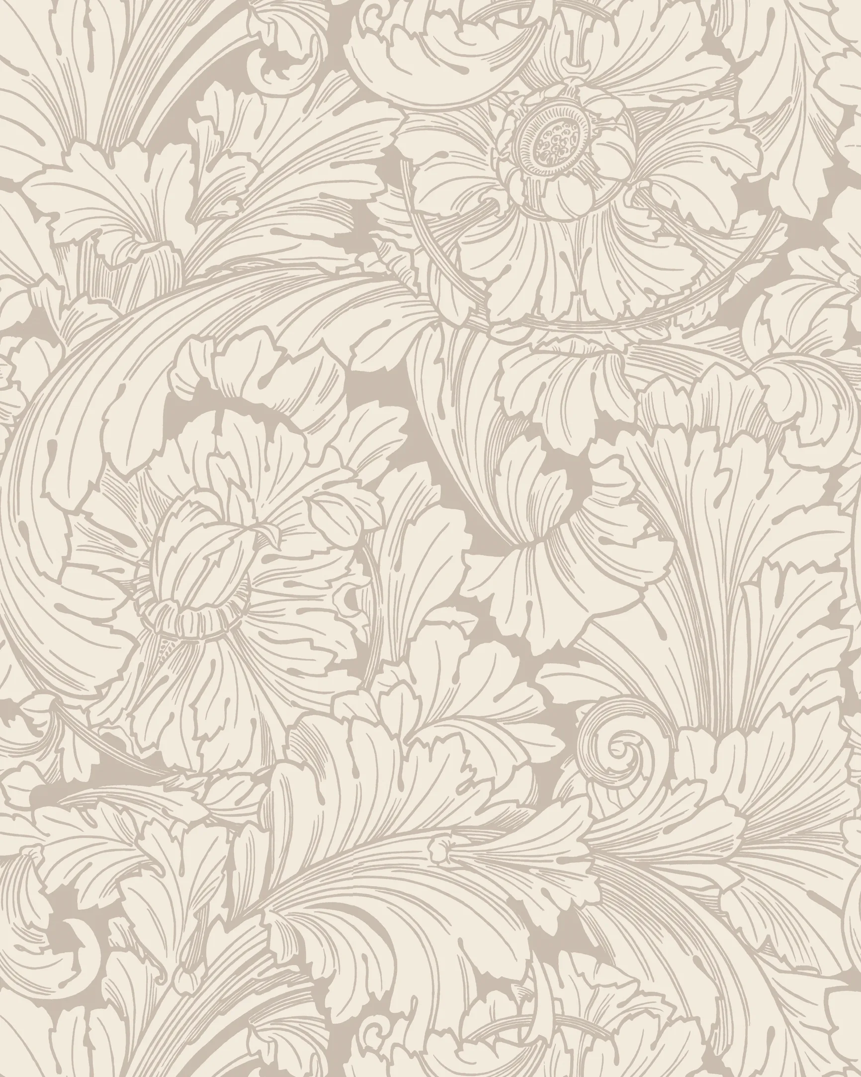 Cole & Son Acanthus in Cream/Pebble (127/6029.CS.0)