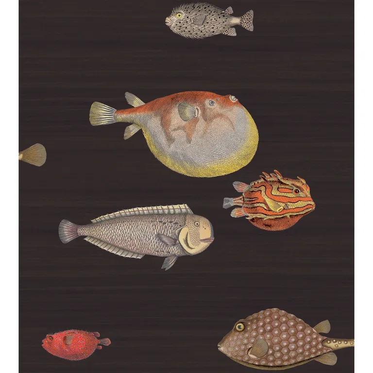 Cole & Son Acquario in Black & Multi (97/10048.CS.0)