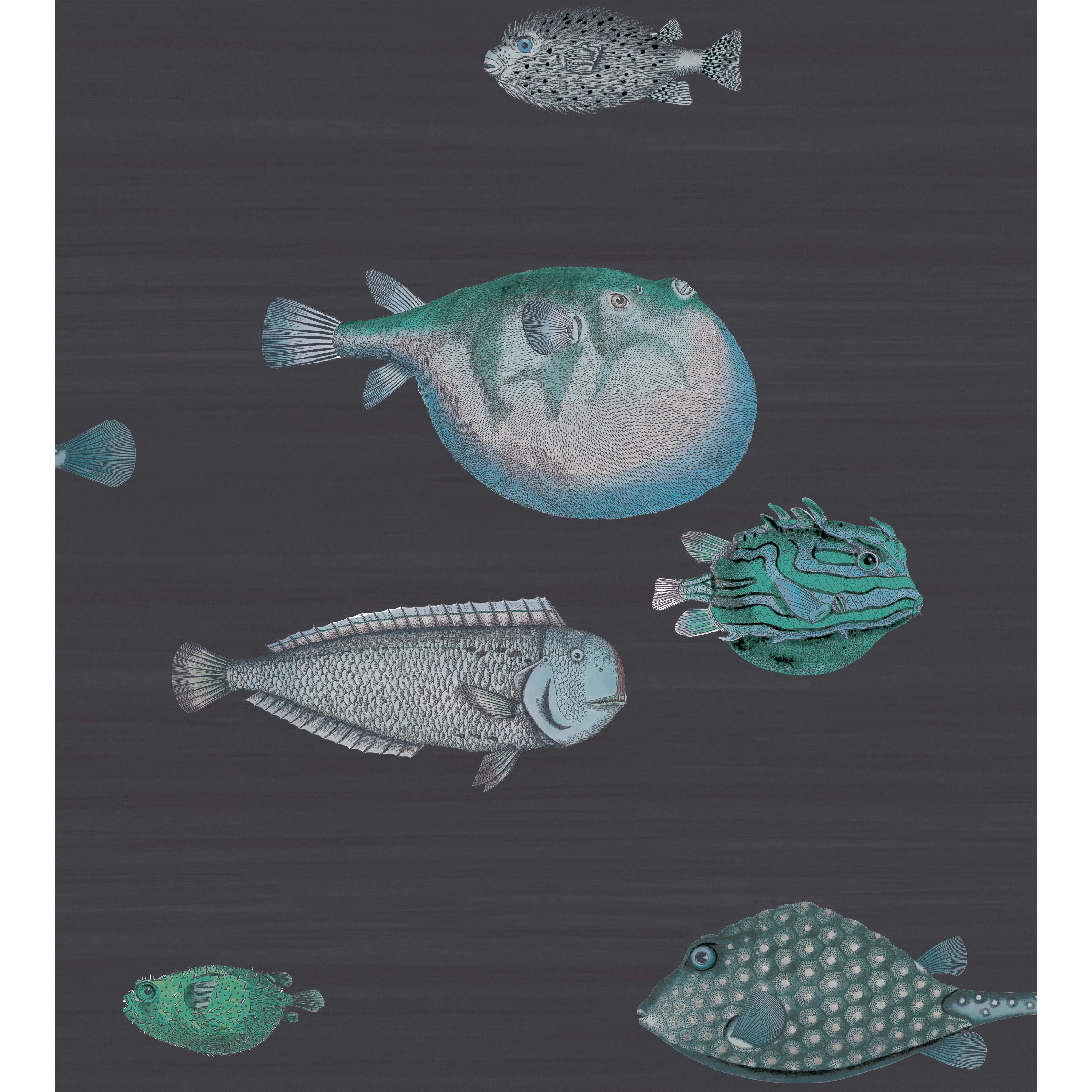 Cole & Son Acquario in Ink (114/16032.CS.0)