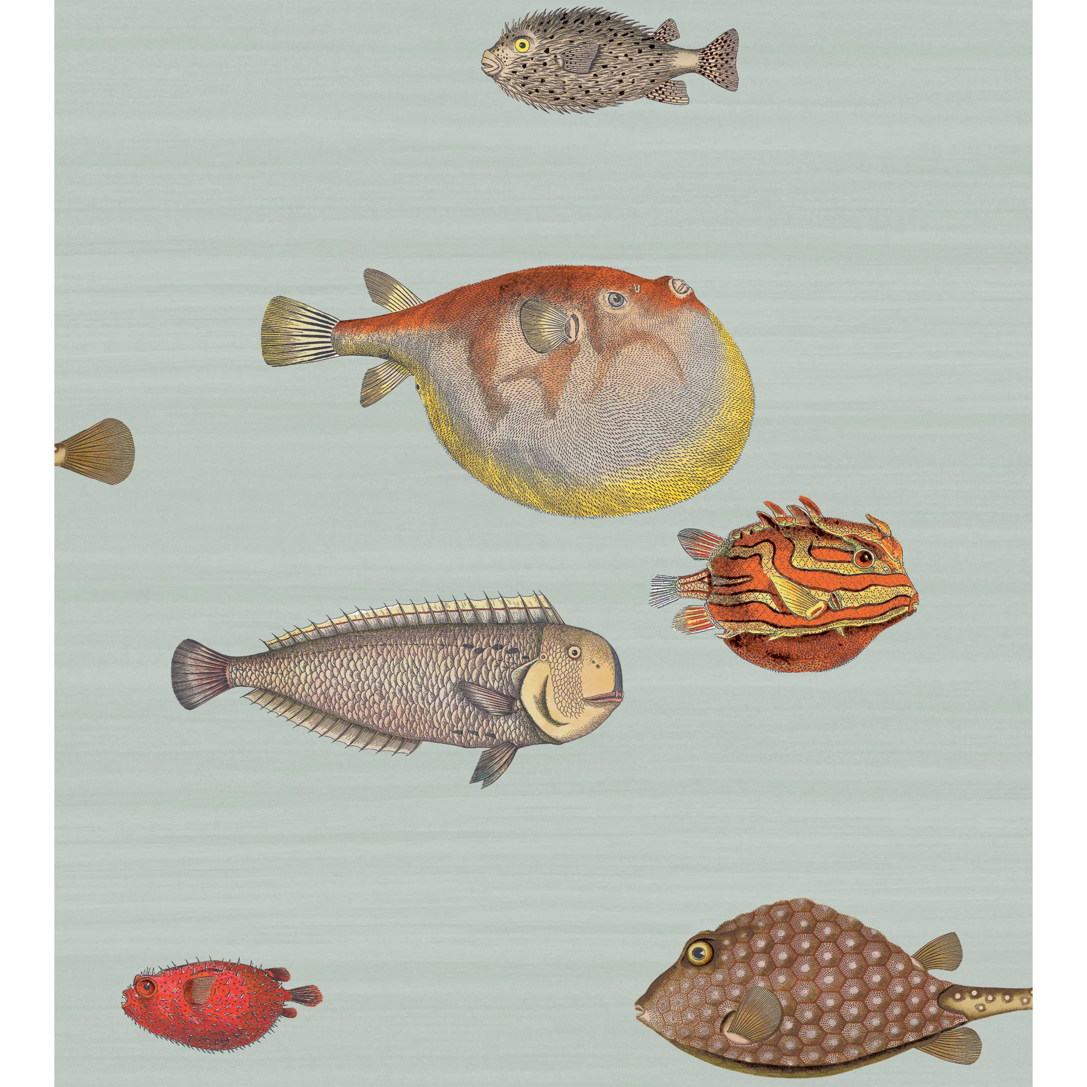 Cole & Son Acquario in Print Room Blue (97/10030.CS.0)