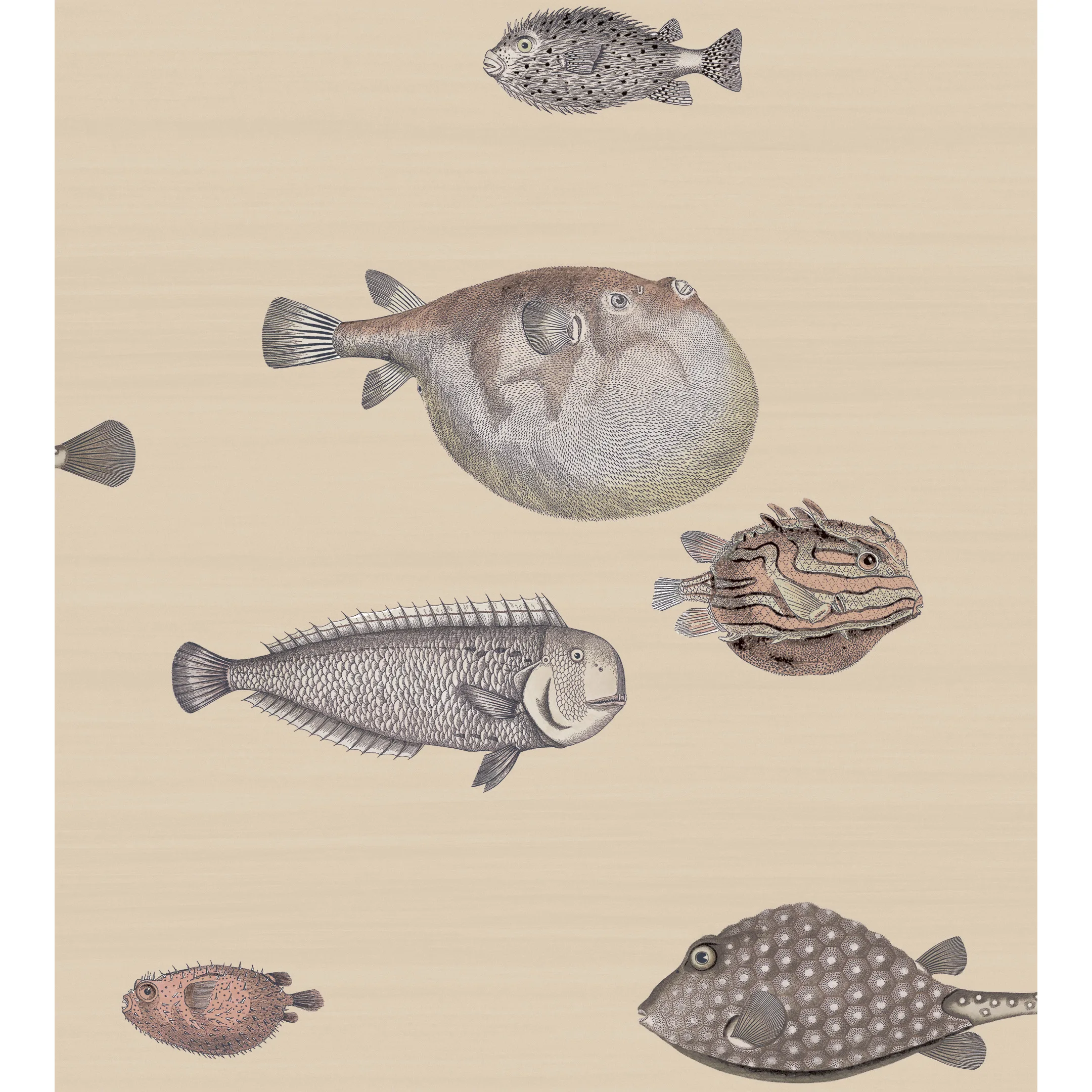 Cole & Son Acquario in Taupe (114/16033.CS.0)