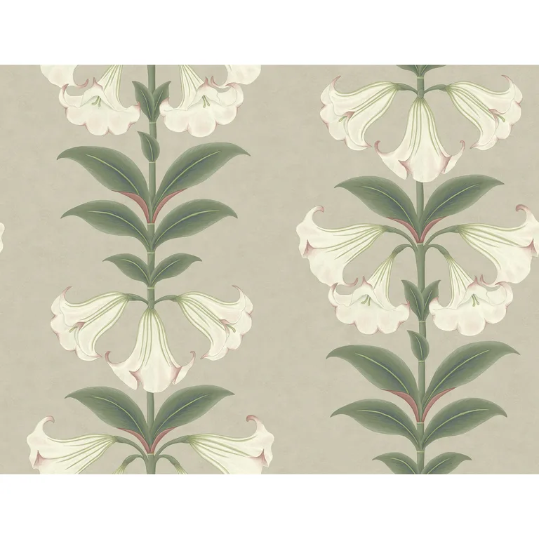 Cole & Son Angels Trumpet in Chalk & Sage on Stone (117/3007.CS.0)