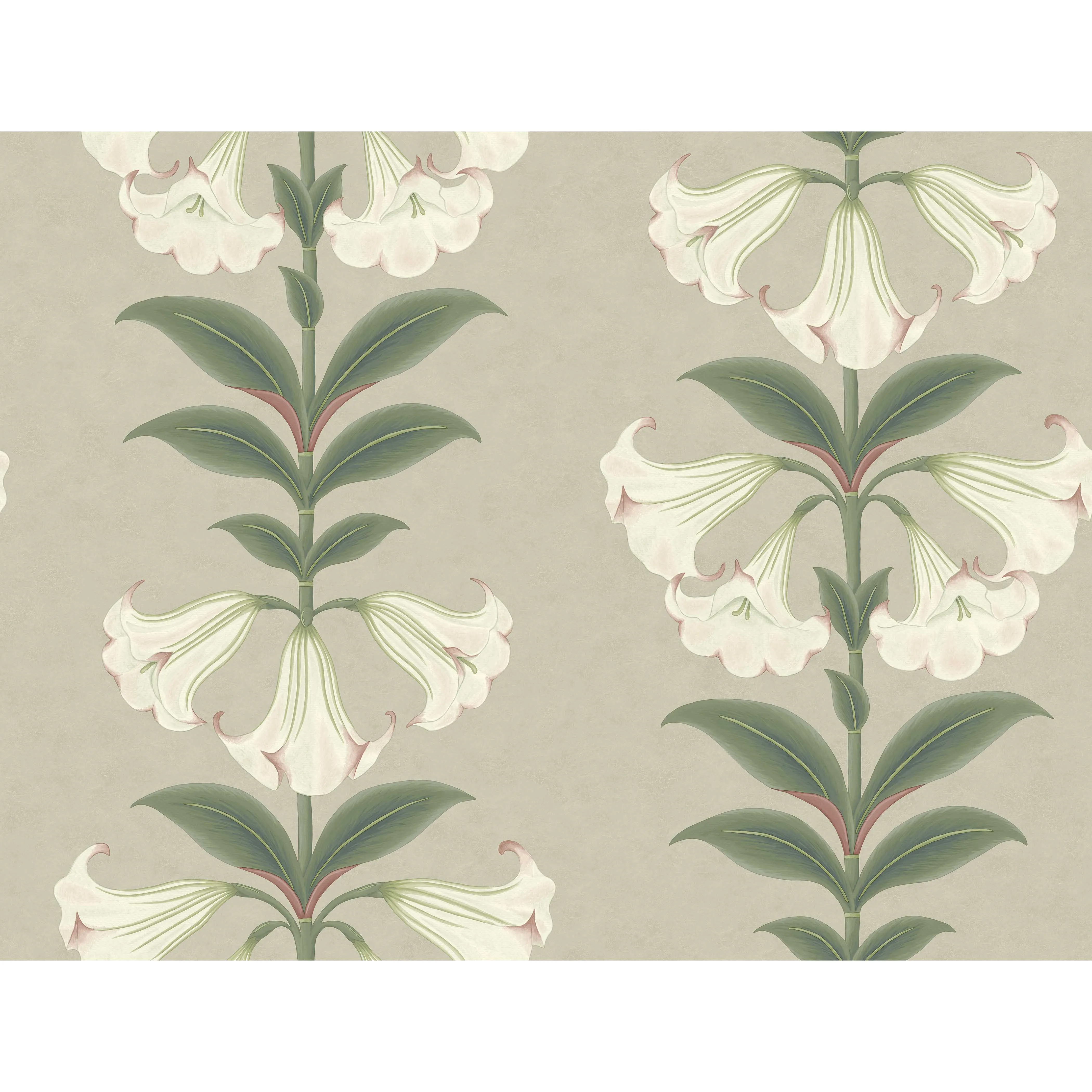 Cole & Son Angels Trumpet in Chalk & Sage on Stone (117/3007.CS.0)