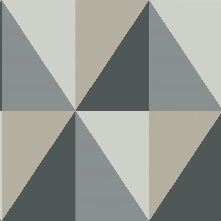Cole & Son Apex Grand in Grey and Black (105/10043.CS.0)