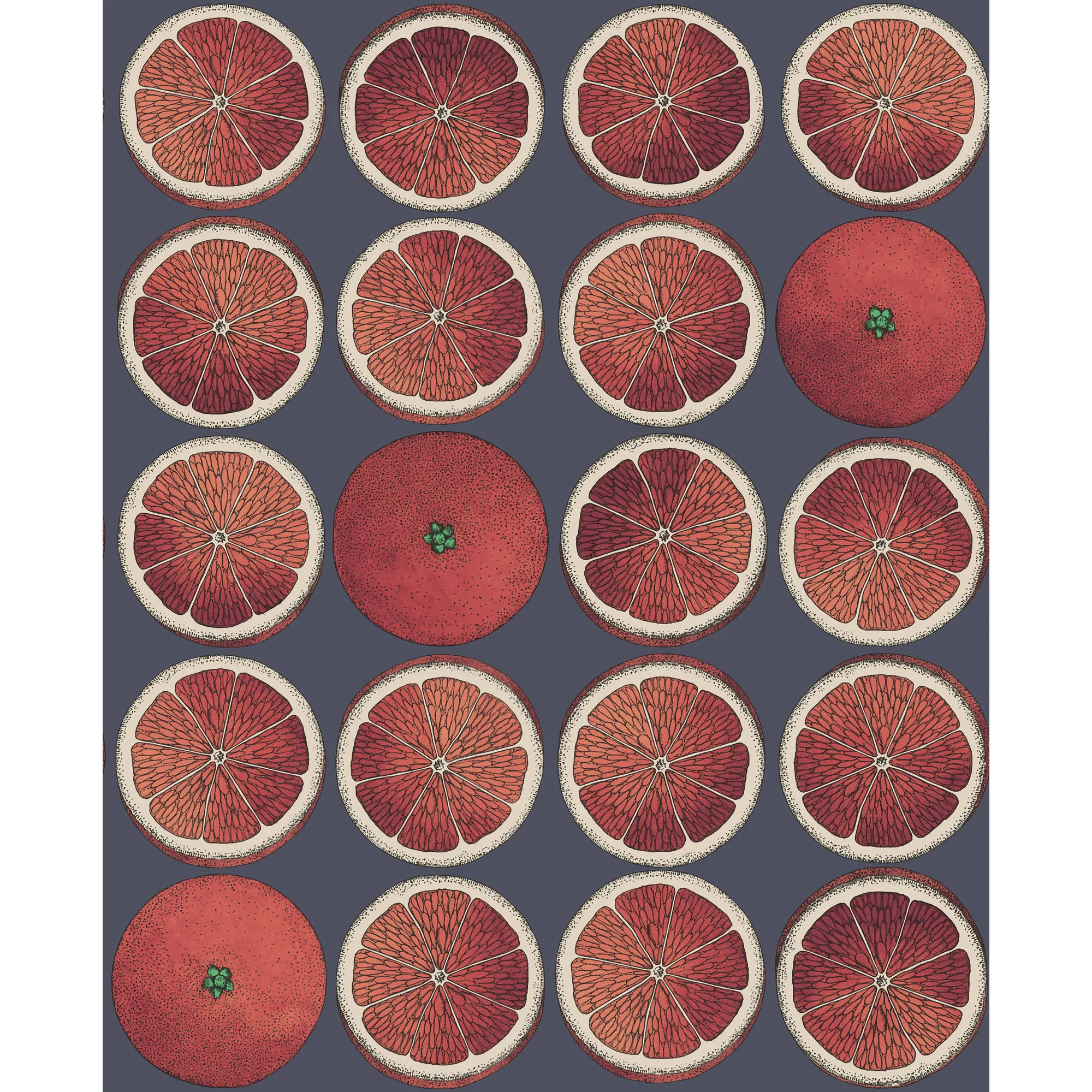 Cole & Son Arance in Blood Orange/Ink (114/24046.CS.0)