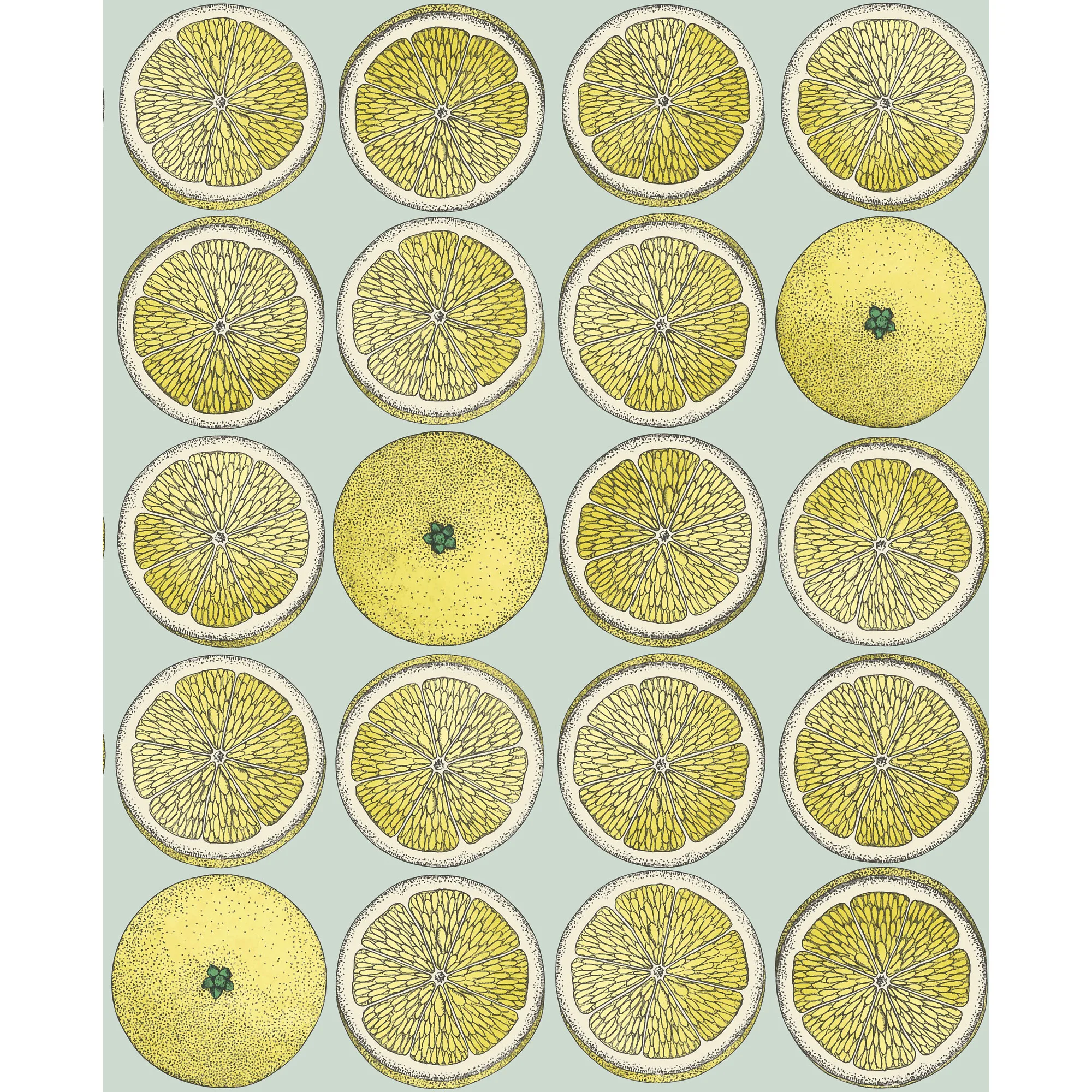 Cole & Son Arance in Lemon/Seafoam (114/24048.CS.0)