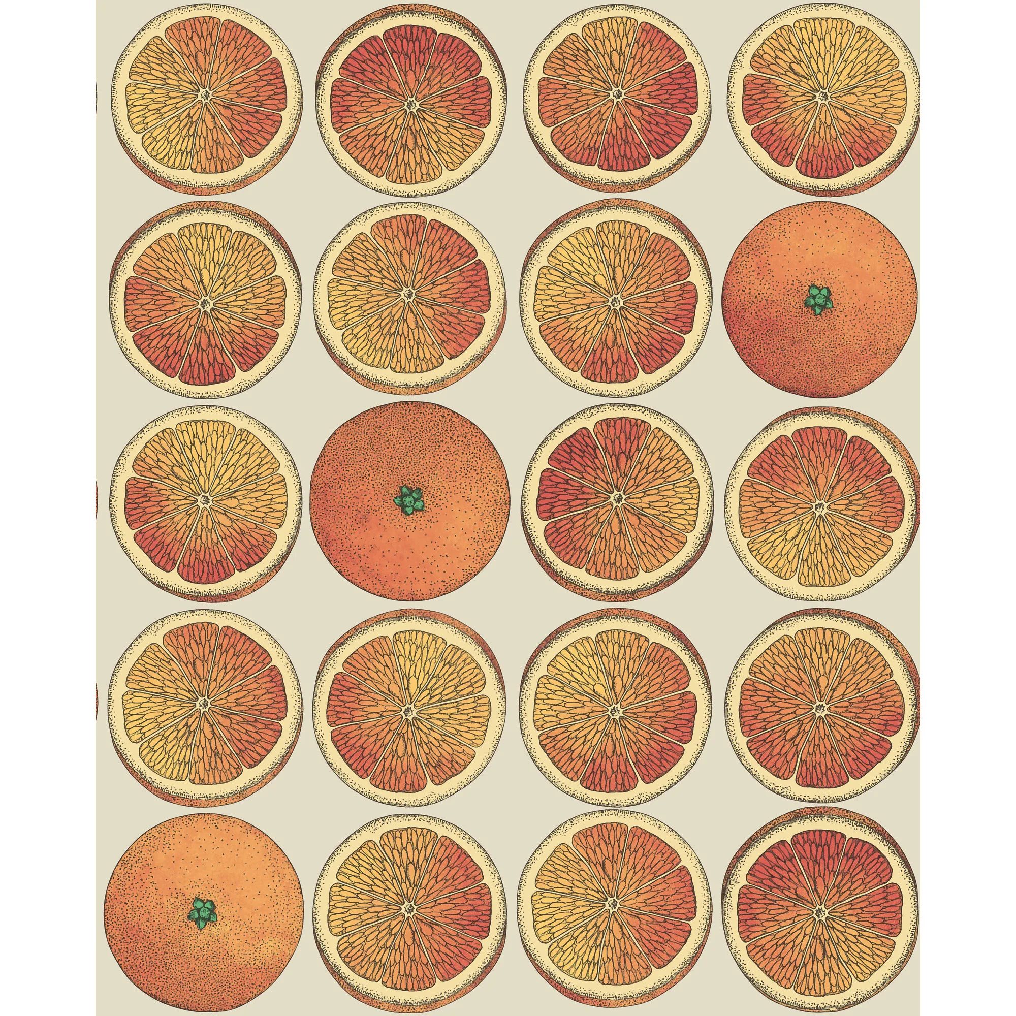 Cole & Son Arance in Orange/Cream (114/24047.CS.0)