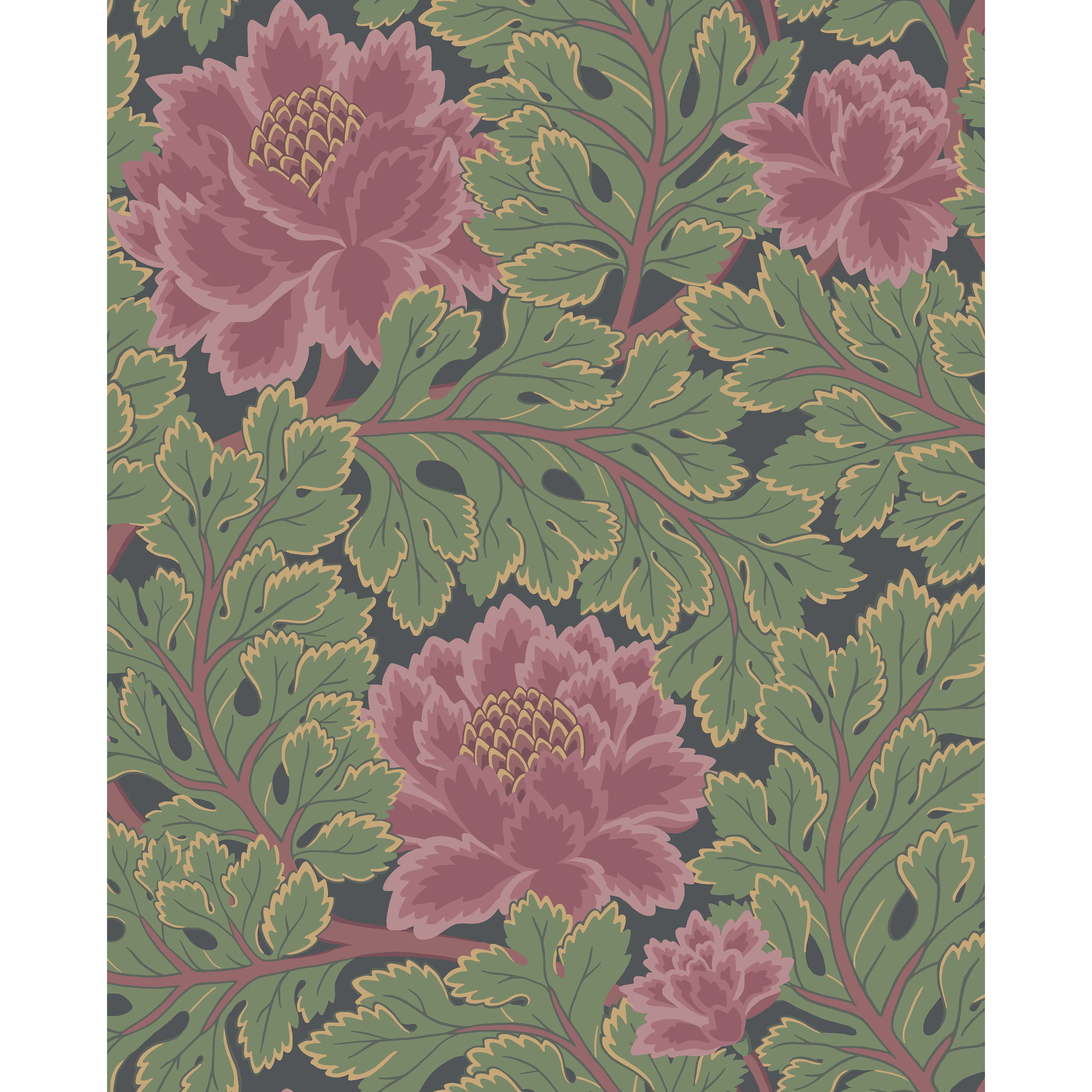 Cole & Son Aurora in Rose/Forest/Char (116/1002.CS.0)
