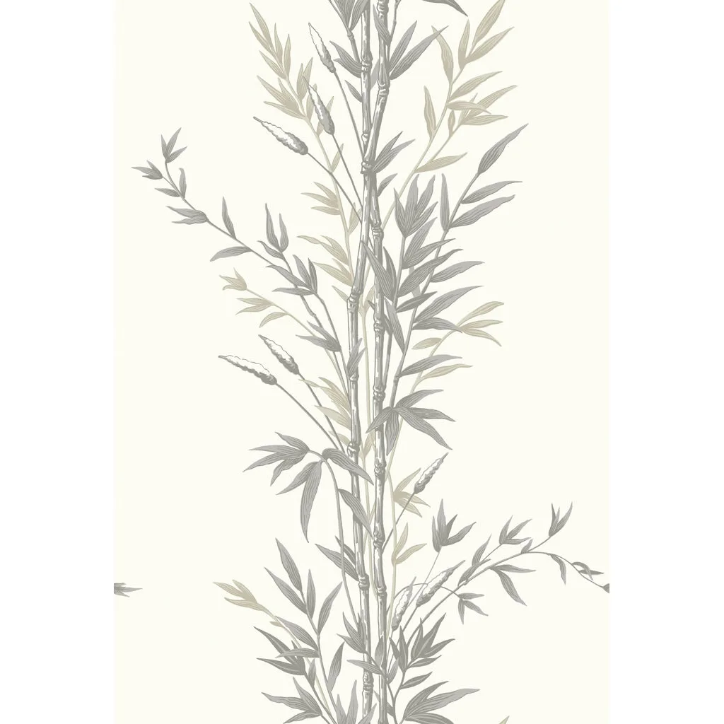 Cole & Son Bamboo in Charcoal (100/5025.CS.0)