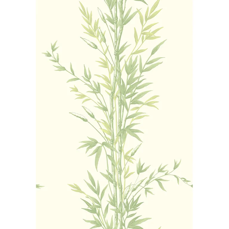 Cole & Son Bamboo in Green (100/5023.CS.0)