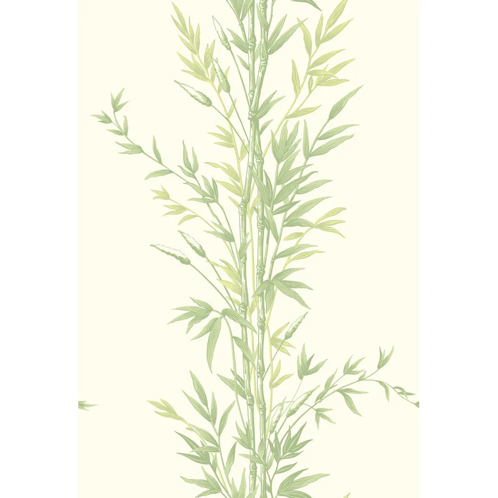 Cole & Son Bamboo in Green (100/5023.CS.0)