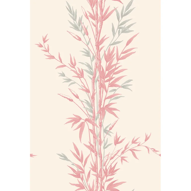 Cole & Son Bamboo in Pink (100/5024.CS.0)