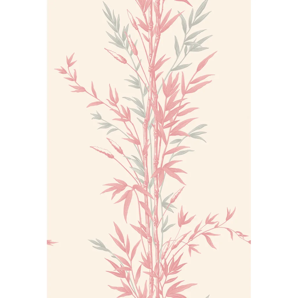 Cole & Son Bamboo in Pink (100/5024.CS.0)