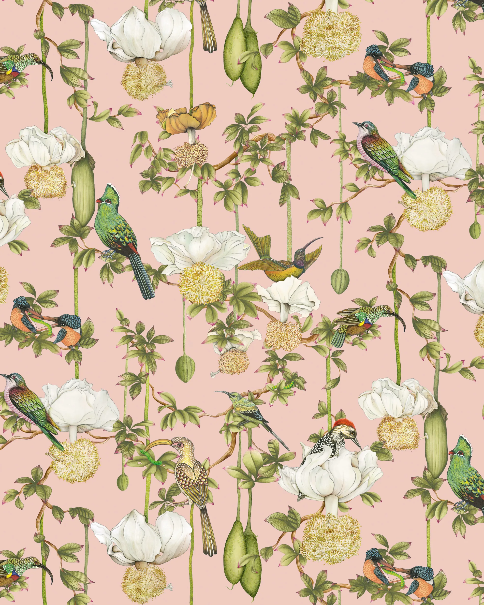 Cole & Son Baobab Botanica in Blush (129/2005.CS.0)